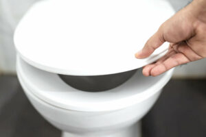 toilet bowl lid img